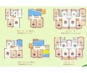 新月丽苑(房型图）