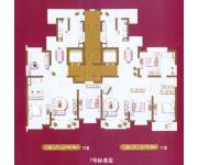 金色家园（房型图）