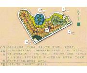 海天花园三期叠翠别墅（平面图）