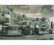 新上海弄里人家 新上海弄里人家