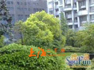 小区绿化 小区绿化