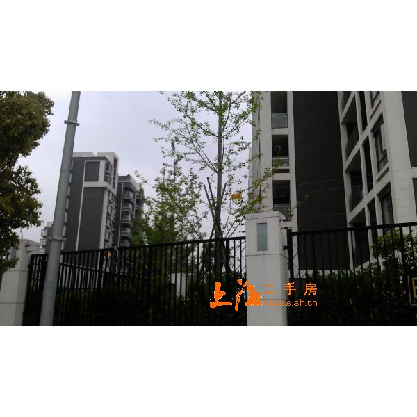 印象欧洲小区实景
