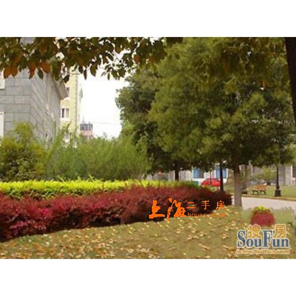 康惠苑楼盘实景 康惠苑楼盘实景