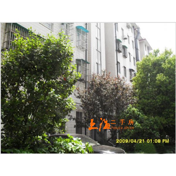田林十二村楼盘实景 田林十二村楼盘实景