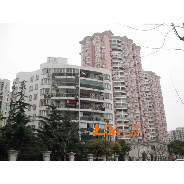 梓树园楼盘实景 梓树园楼盘实景