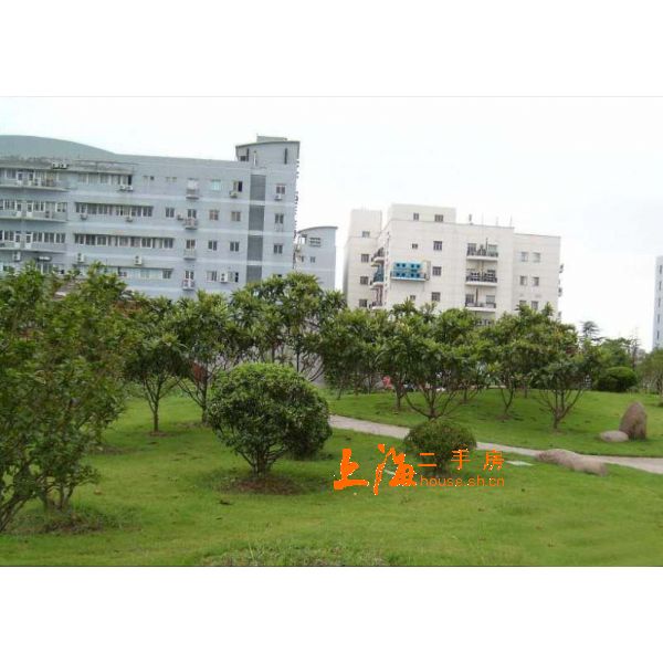 桂林苑楼盘实景 桂林苑楼盘实景