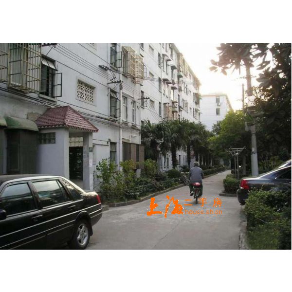 龙吴路11弄楼盘实景 龙吴路11弄楼盘实景