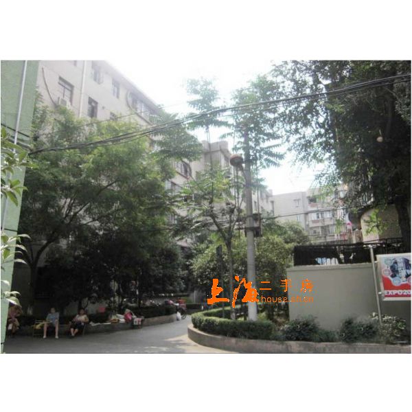 上缝小区楼盘实景 上缝小区楼盘实景