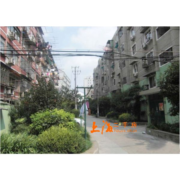 上缝小区楼盘实景 上缝小区楼盘实景