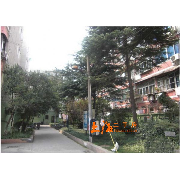 上缝小区楼盘实景 上缝小区楼盘实景