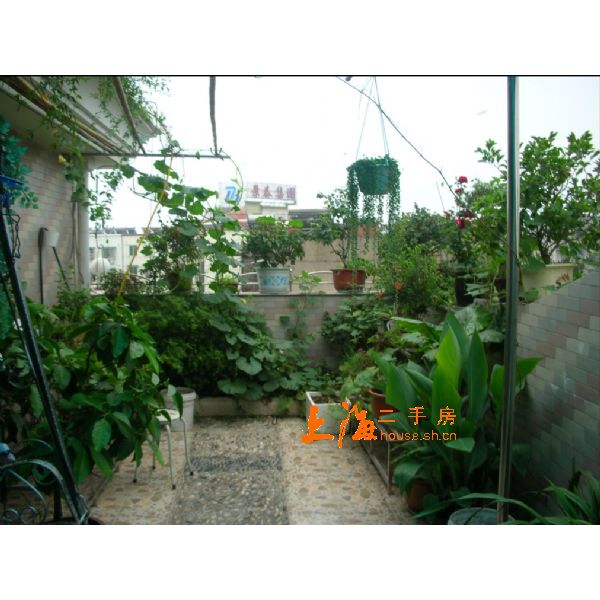 顶楼露台楼盘实景