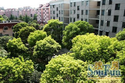 平吉二村楼盘实景