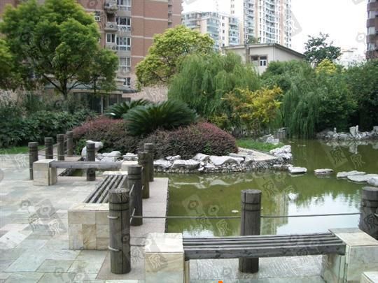 徐汇苑楼盘实景 徐汇苑楼盘实景