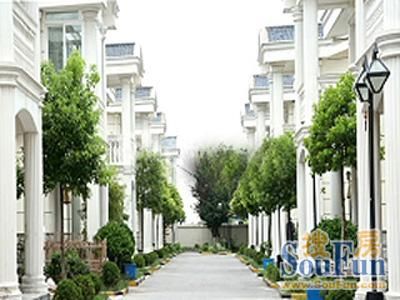 溢盈河畔别墅楼盘实景