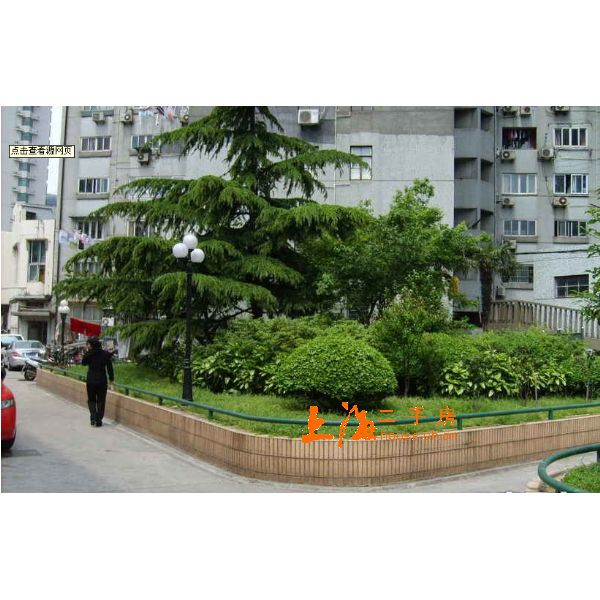 橡胶小区楼盘实景