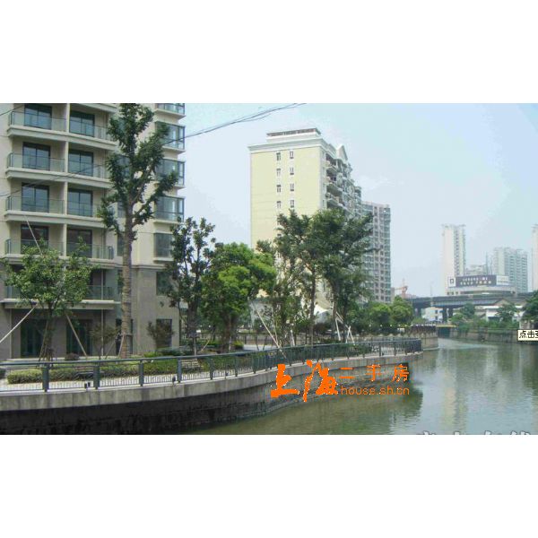 河滨国际公寓楼盘实景 河滨国际公寓楼盘实景