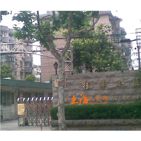 桂莘小区楼盘实景