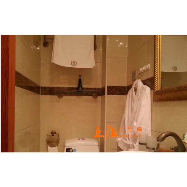 田林七村卫生间