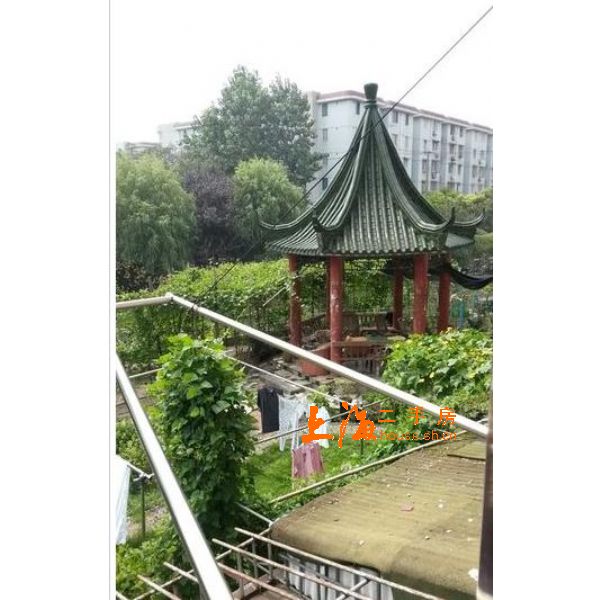 华东花苑窗外景 华东花苑窗外景