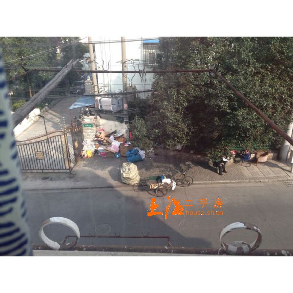 康州小区窗外景