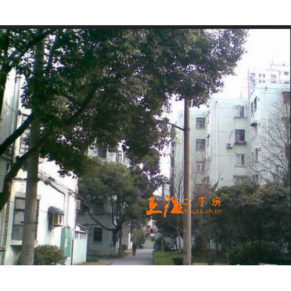 冠生园路小区楼盘实景