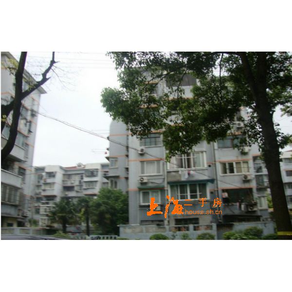 古美小区楼盘实景