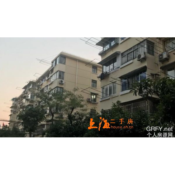 东泉小区窗外景 东泉小区窗外景