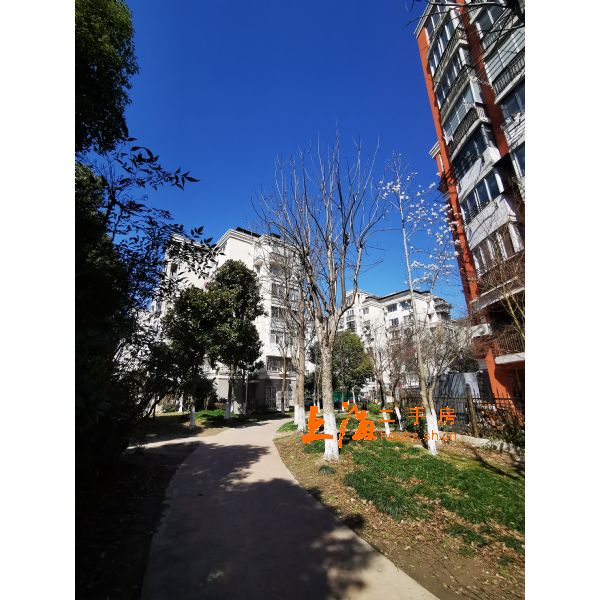 浦江东旭公寓窗外景