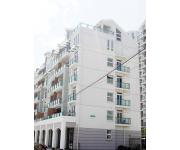 白雪公主 白雪公主