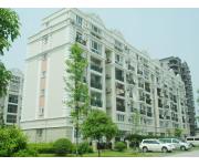 大上海国际花园