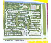 金色探戈（平面图）