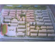 莲花新村(平面图) 莲花新村(平面图)