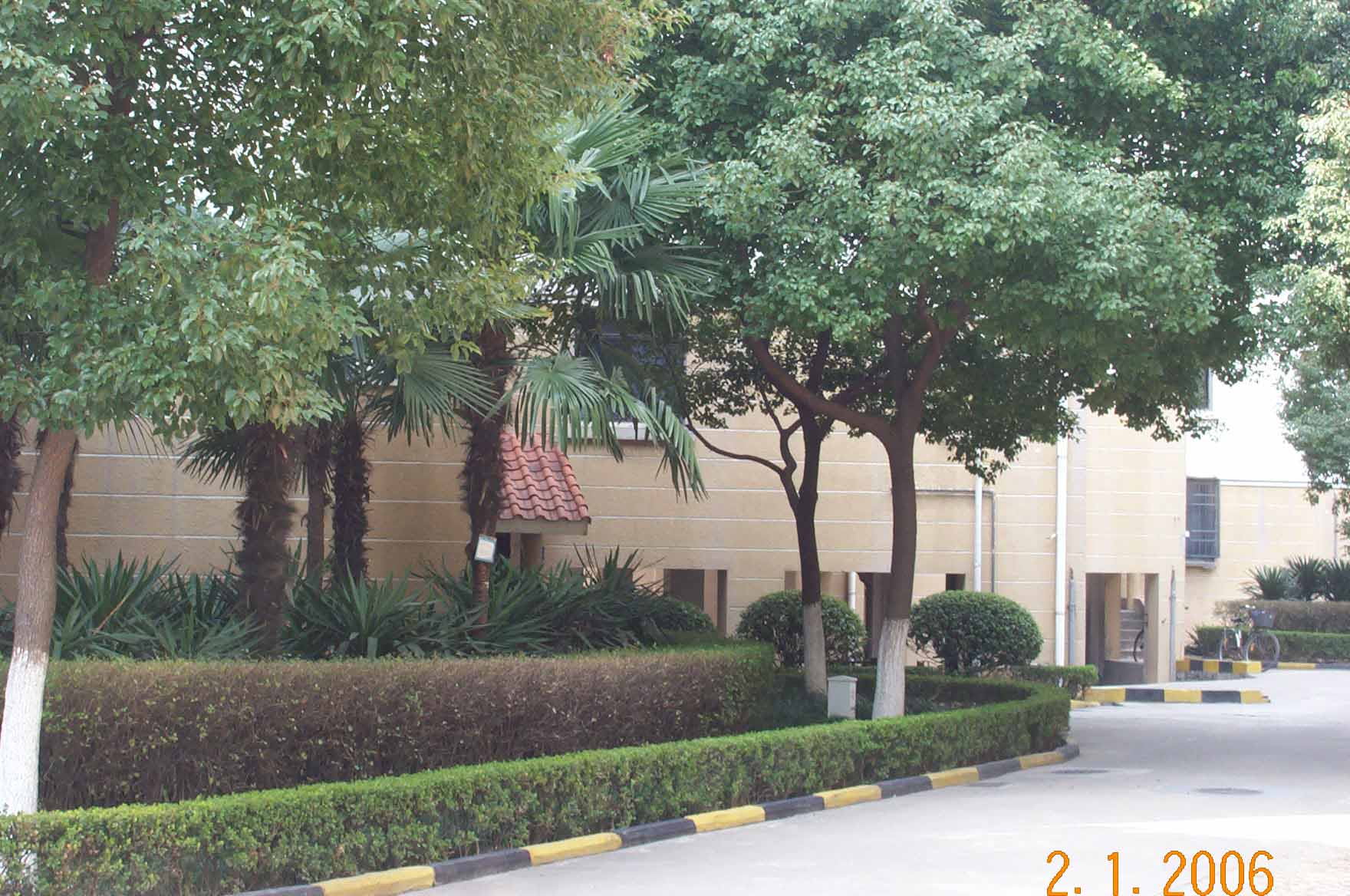 楼前风景 楼前风景