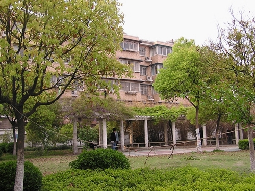 小区正对的小花园