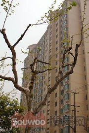 文馨苑 文馨苑