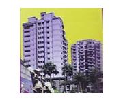 虹桥向日葵 虹桥向日葵