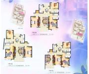 虹桥馨苑（房型图）