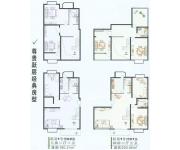 花园村雅苑（房型图）