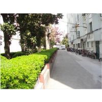 康健路77弄楼盘实景