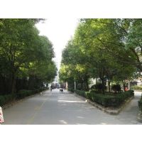 钦州花苑楼盘实景