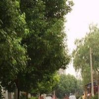 漕溪三村楼盘实景