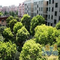 平吉二村楼盘实景