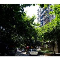 明佳苑楼盘实景