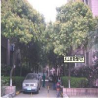 徐虹公寓楼盘实景
