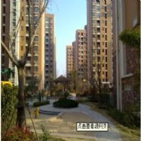 徐汇馨苑/馨宁南苑楼盘实景