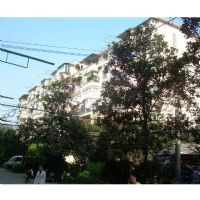 田林三村窗外景