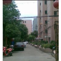 康州小区楼盘实景