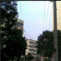 冠生园路小区楼盘实景